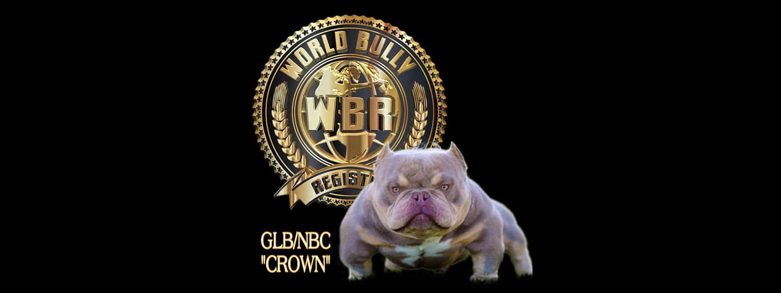 The Main Event Bully Expo by World Bully Registry - Fairplex