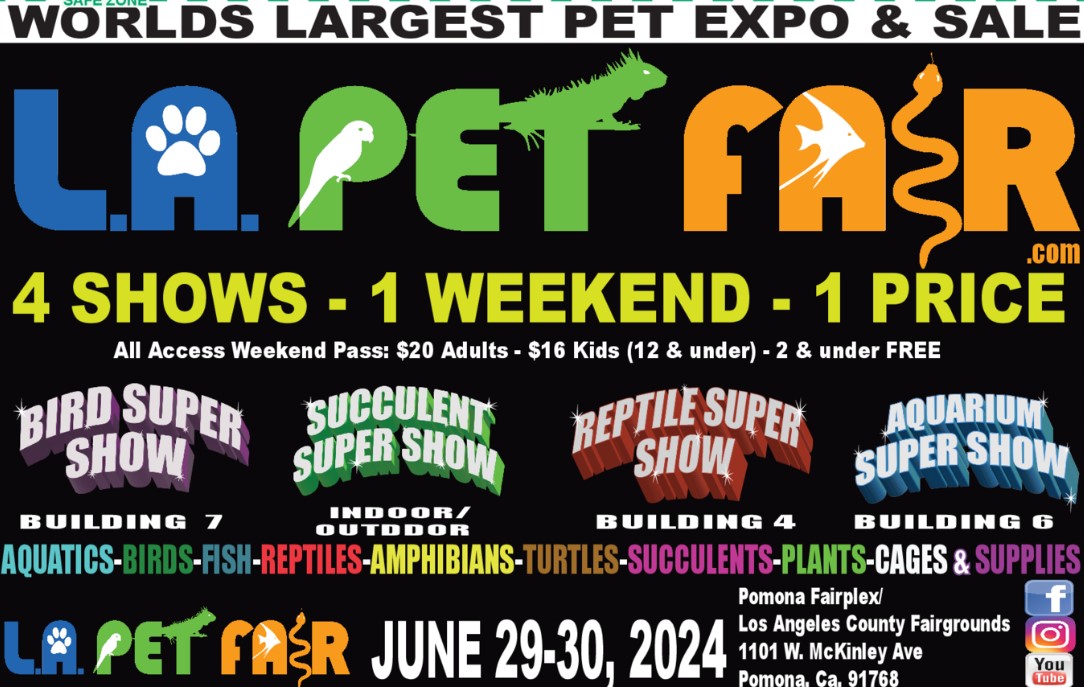 LA Pet Fair - Fairplex