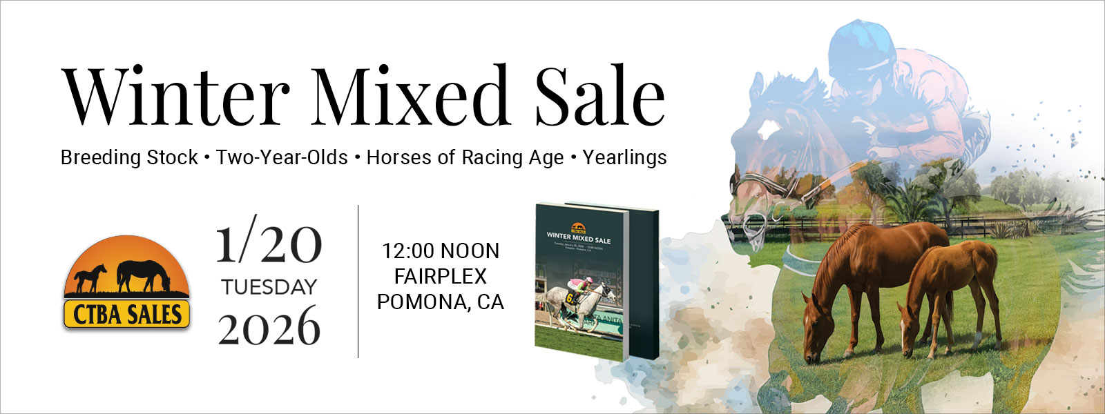 Read more about the article California Thoroughbred Association Horse Auction