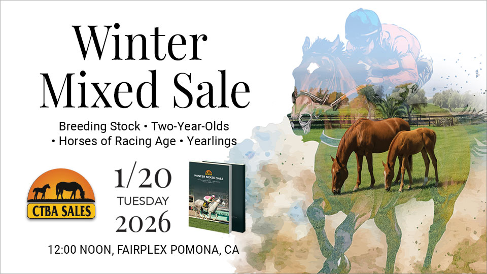 California Thoroughbred Association Horse Auction